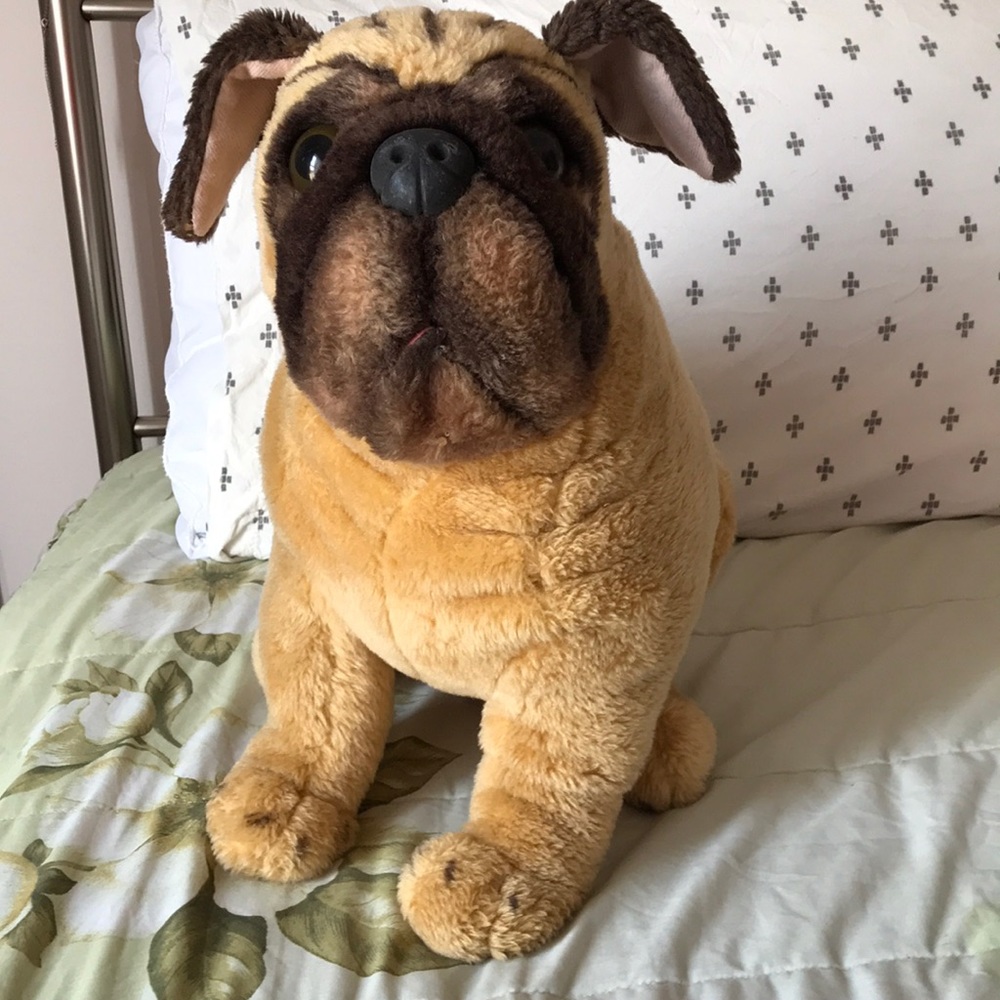 Dog - Picture 5 of 5